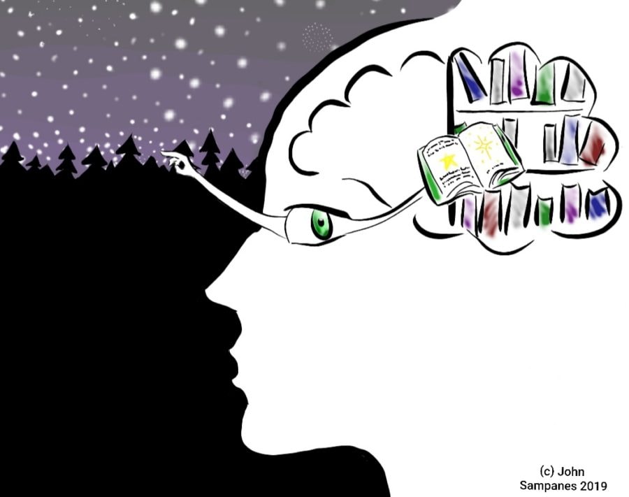 Illustrated profile silhouette with a brain filled with books and a starry forest scene, representing the mind-body connection in Brainspotting therapy